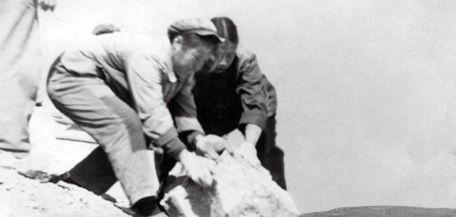 20260403_103612_007.png 20260403_103612_007.png